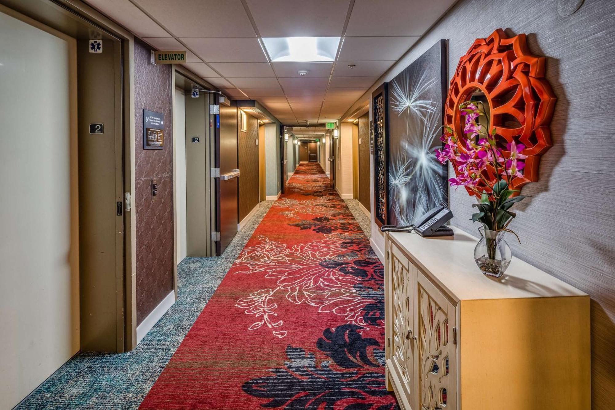 Hampton Inn San Francisco Airport Саут Сан Франциско Екстериор снимка